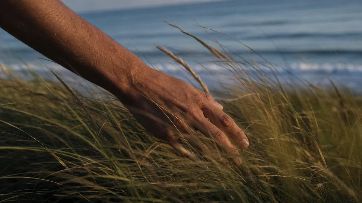 A hand trails gently through tall beach grass in warm, low light.