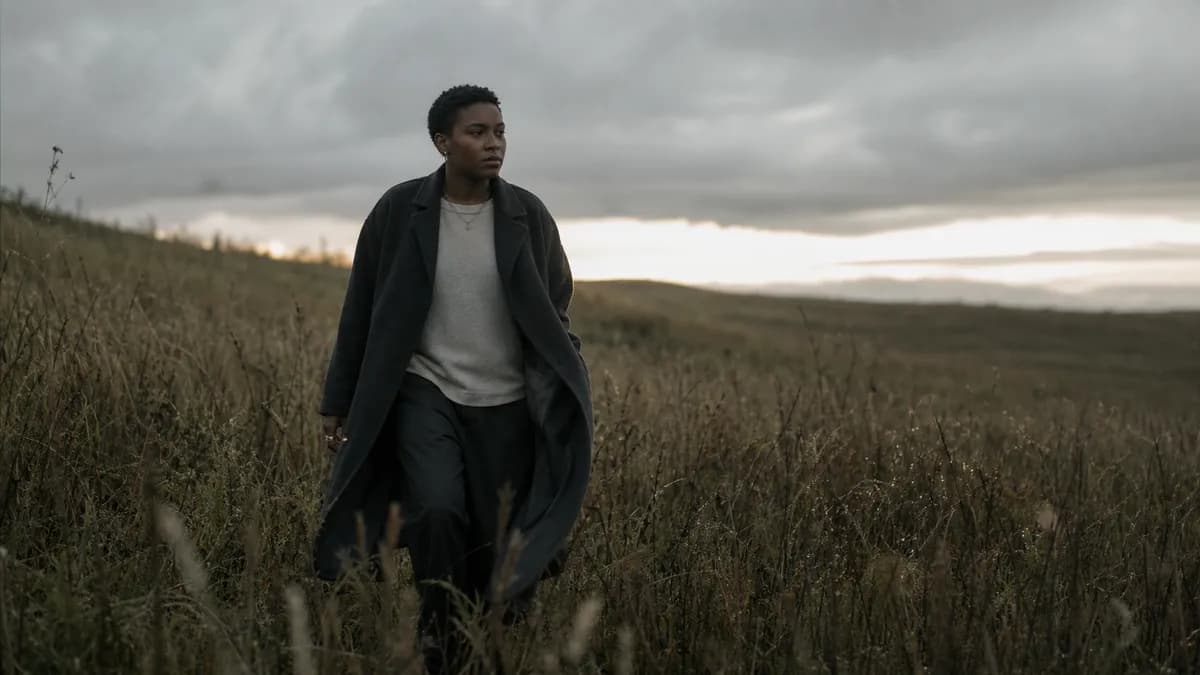 A lone figure in a long coat walks through a field of tall grass at dusk under a heavy, cloud-streaked sky.