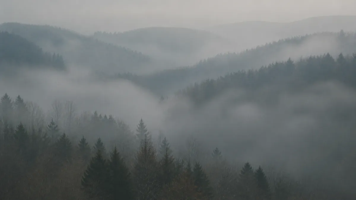 Layers of forested hills fade into soft fog under a pale, still sky.