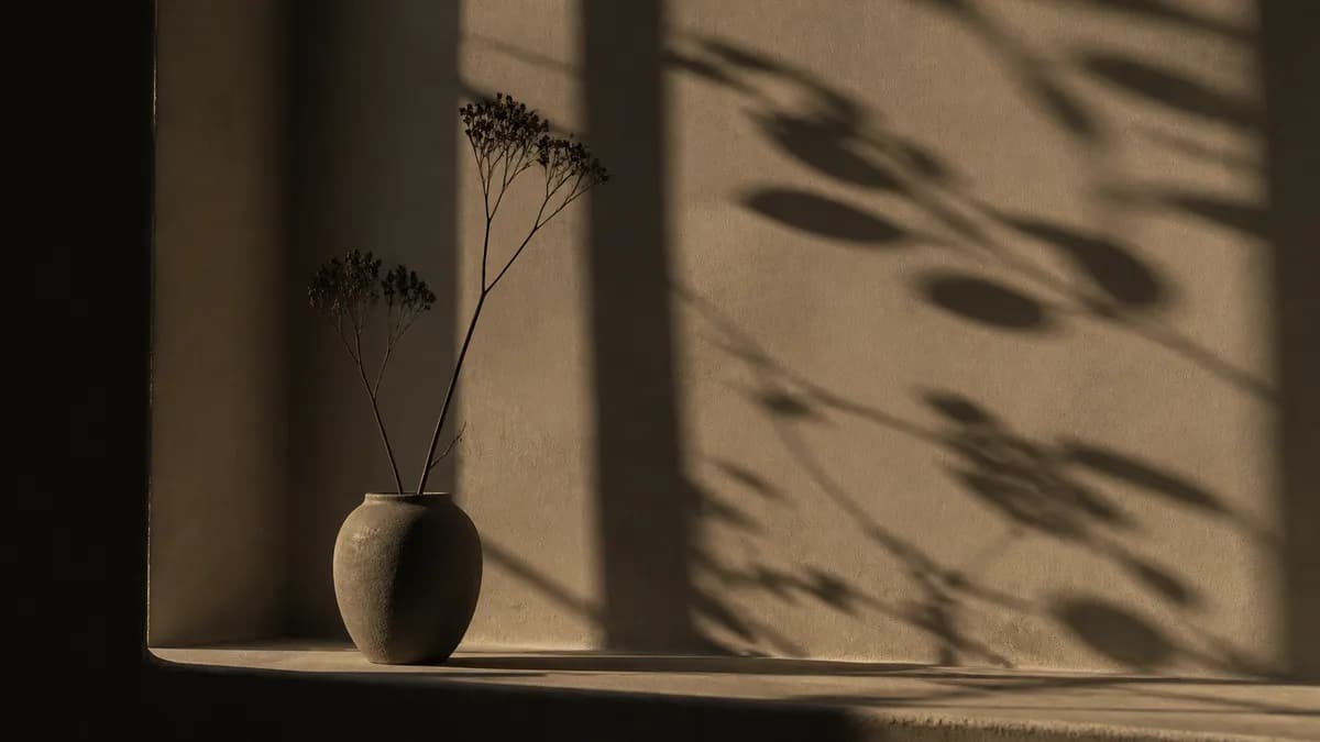 A single dried flower stem in a stone vase on a windowsill, its delicate shadow thrown across a warm plaster wall.