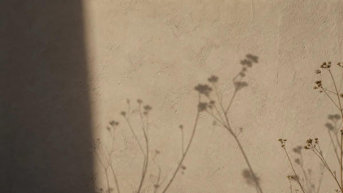 Delicate shadows of dried wildflower stems fall across a warm sunlit plaster wall.
